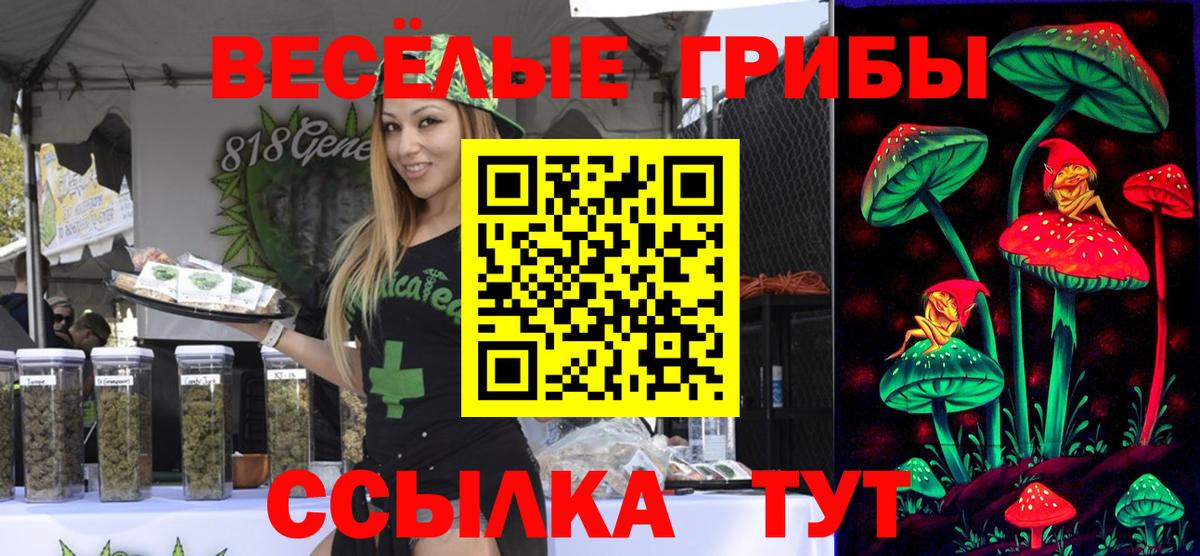 Псилоцибиновые грибы Psilocybe Муром