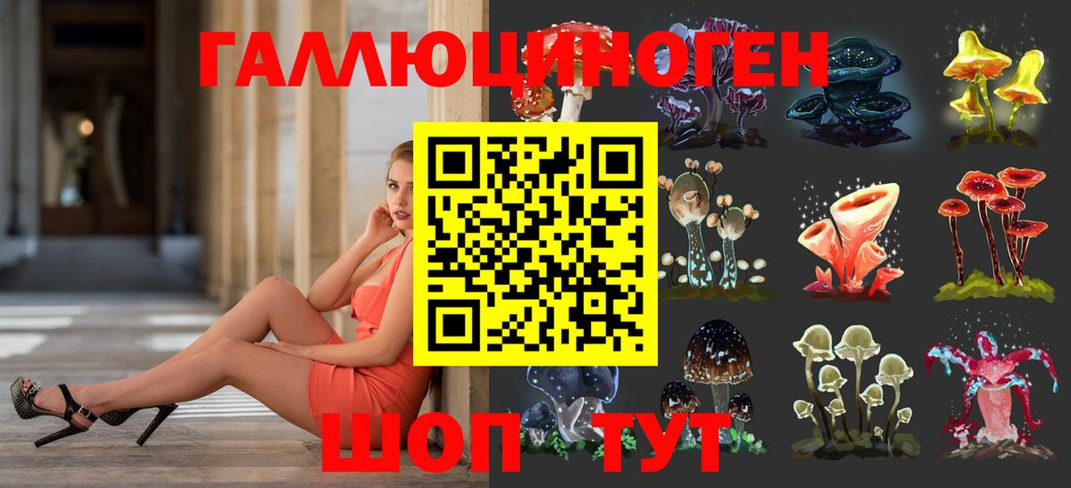 Псилоцибиновые грибы Psilocybine cubensis  Вход с VPN  Муром 